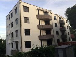 Adam Place (D11), Apartment #613031691